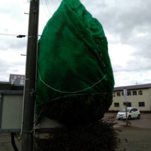 エースグループ冬支度