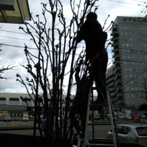 エースグループ冬支度