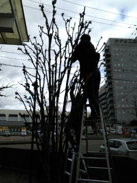 エースグループ冬支度
