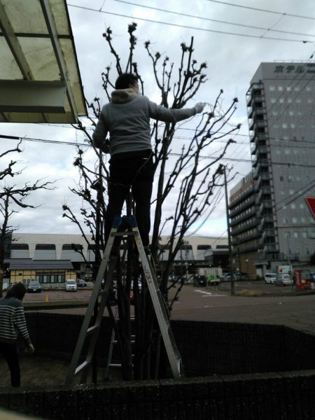 エースグループ冬支度