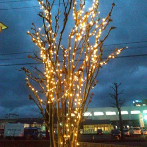 エースグループ冬支度