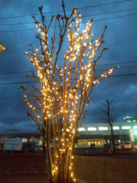 エースグループ冬支度