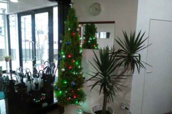 クリスマスツリーを飾りました