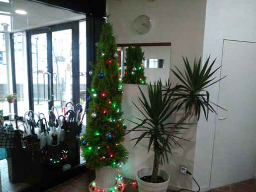 クリスマスツリーを飾りました