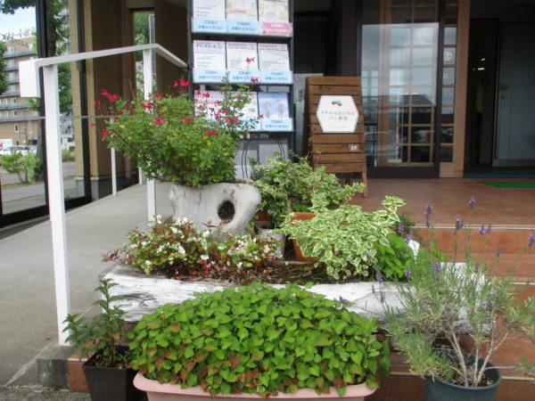 ハツユキカズラ・ヤブラン・チェリーセージ