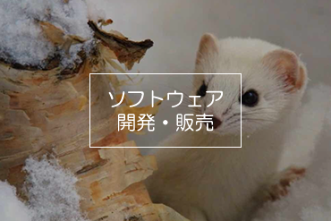 システムエース
