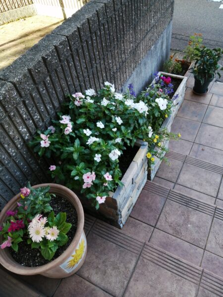 全体