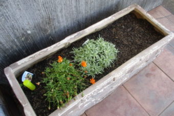 2020年6月環境活動