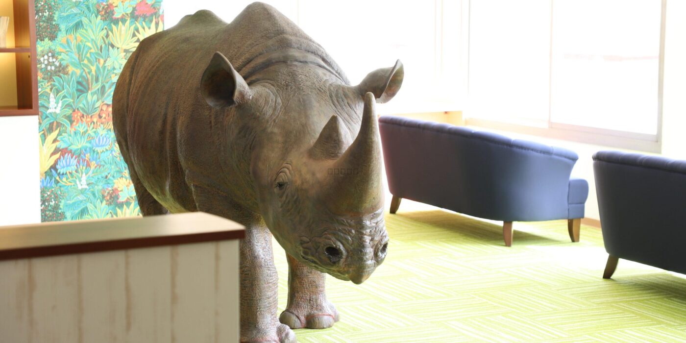 Rhinoceros