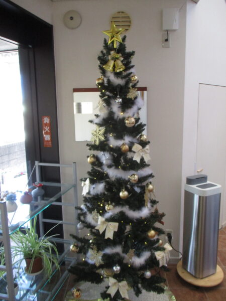 ｸﾘｽﾏｽﾂﾘｰ