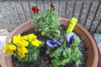 2021年12月環境活動