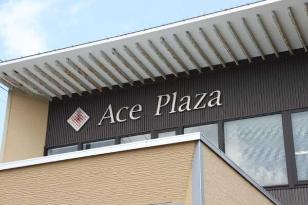 システムエースエースホール