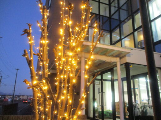 2025年11月冬支度・イルミネーション