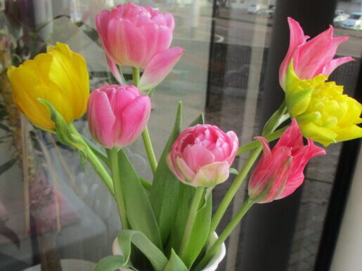 2026年3月冬支度片付け