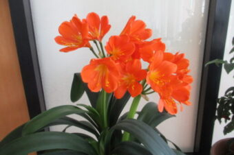 2022年5月環境活動