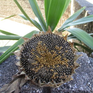 切り離しました