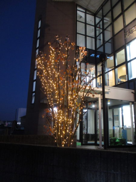 イルミネーション点灯！