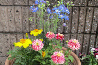 2021年5月環境活動