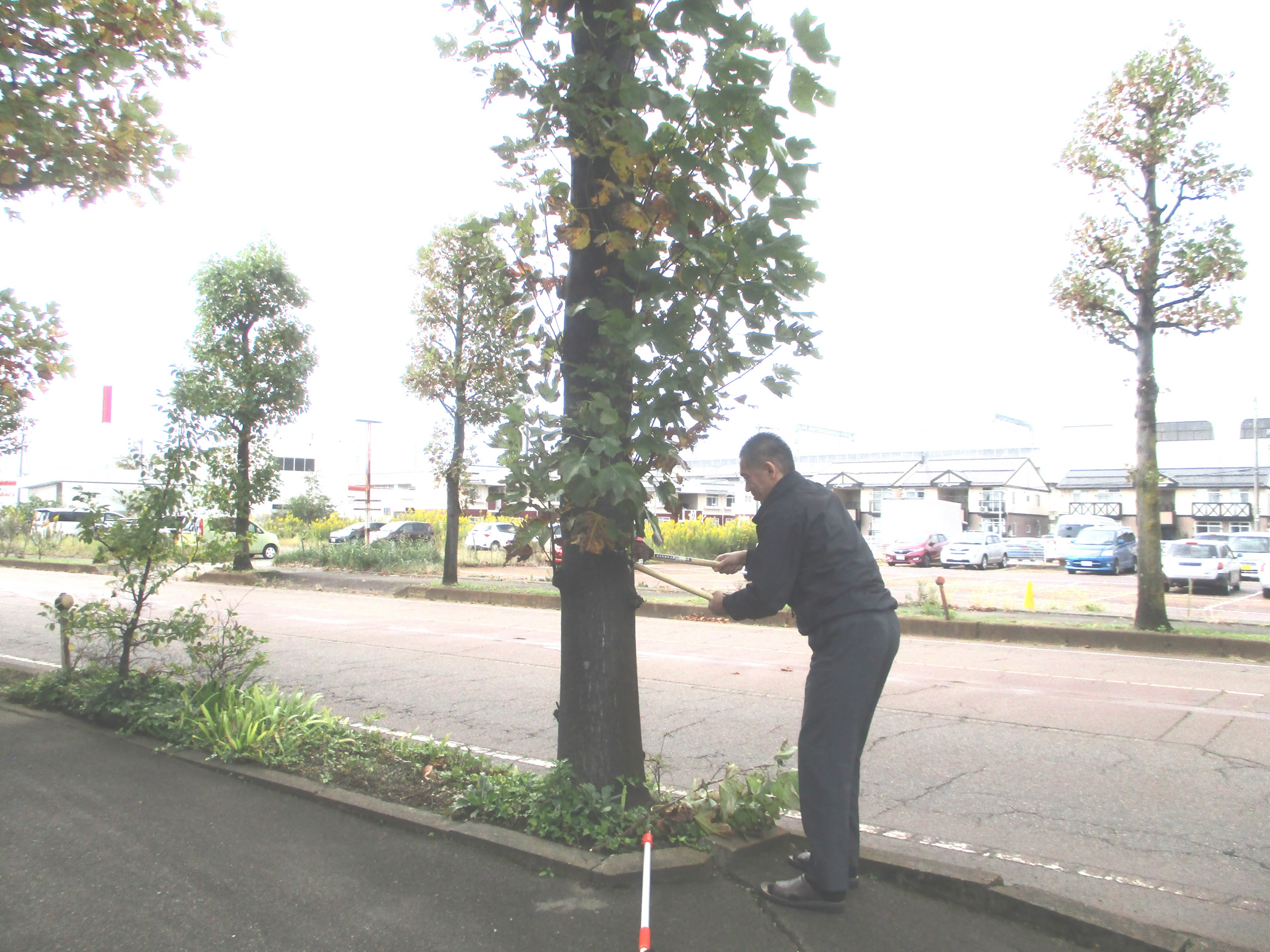 2018年10月環境活動