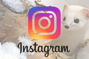 システムエースのインスタを開設しました