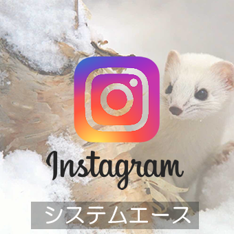 システムエースのインスタを開設しました