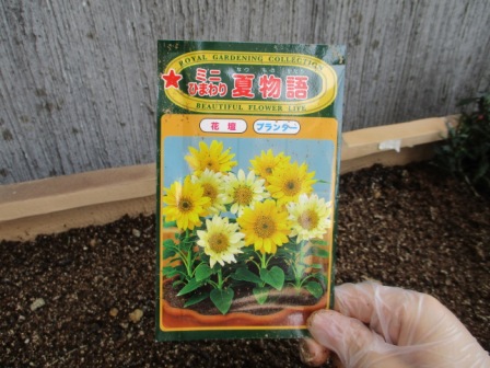 2018年6月緑化活動